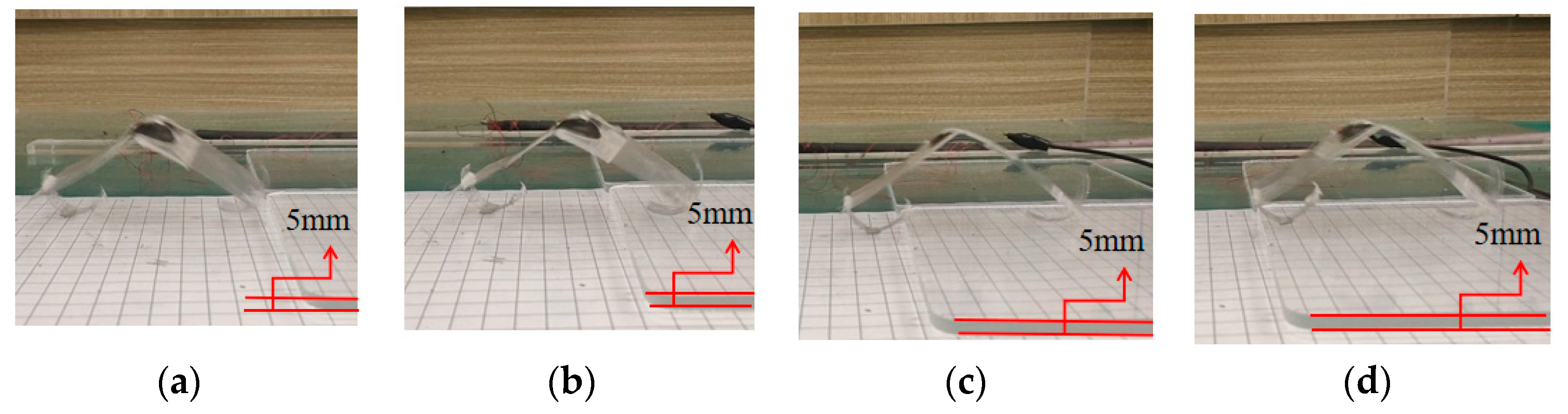 Actuators 11 00227 g009