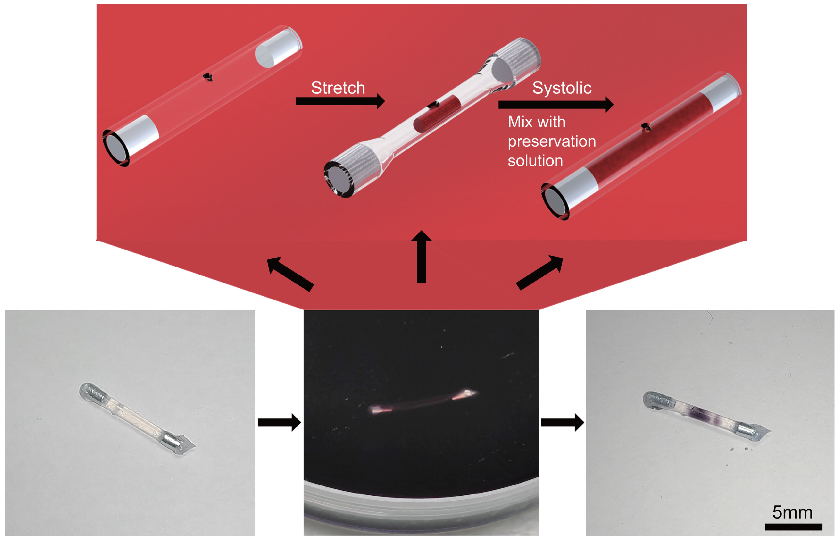 Actuators 11 00269 g010