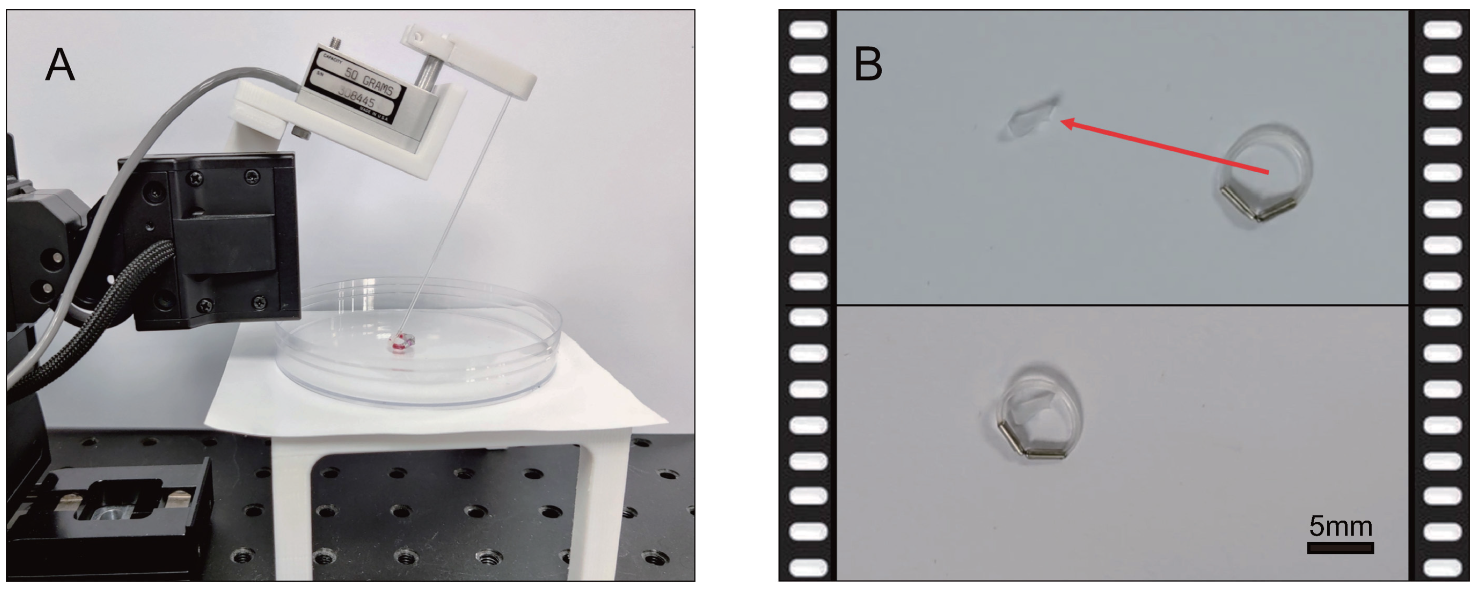 Actuators 11 00269 g013