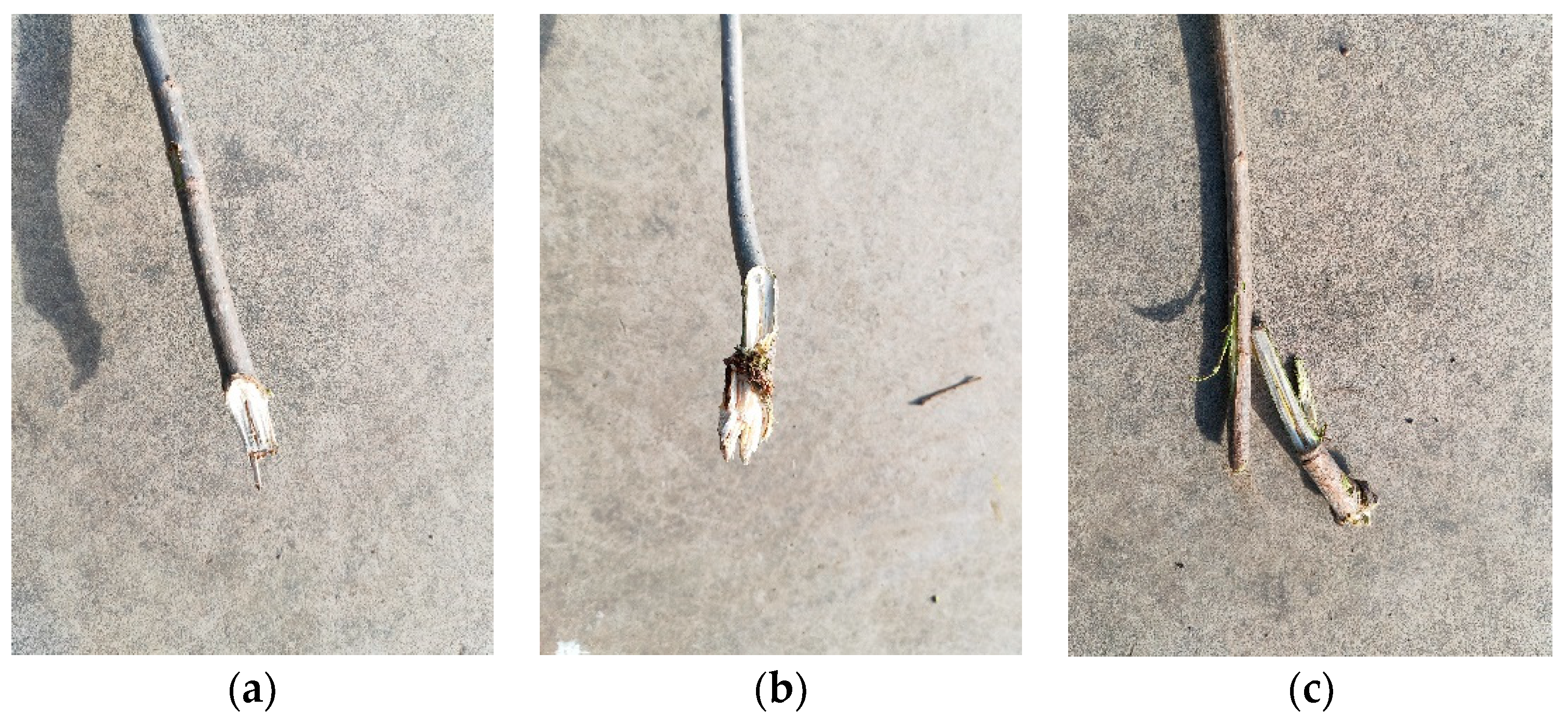 Actuators 11 00287 g016