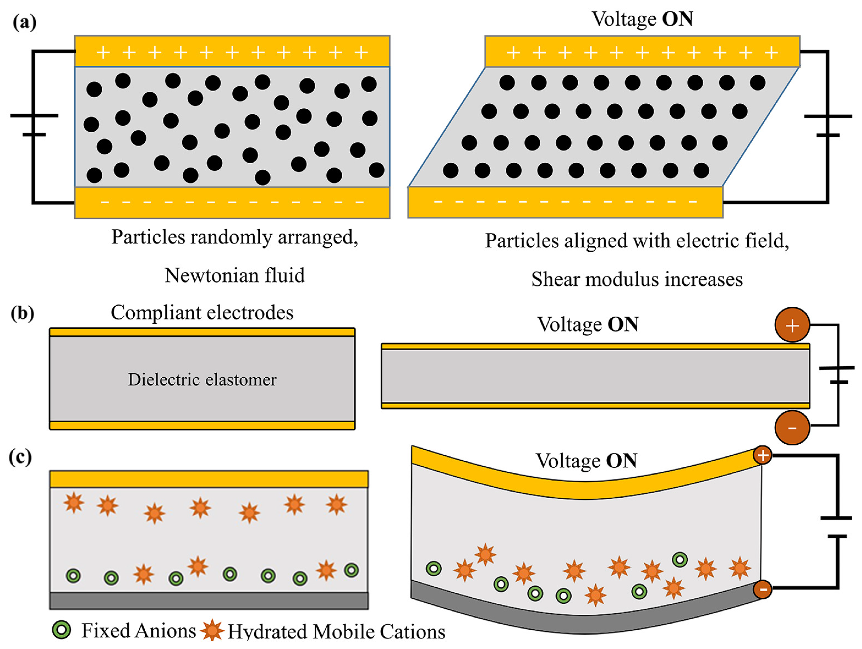 Actuators 11 00331 g003 Actuators 11 00331 g003