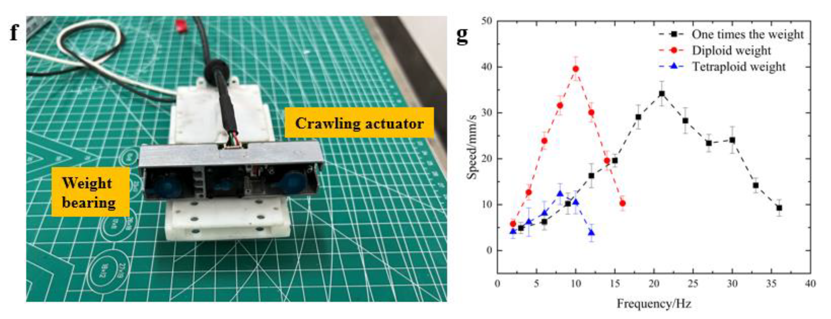 Actuators 11 00338 g005b