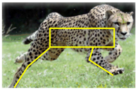 Actuators 11 00344 i001
