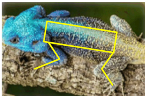 Actuators 11 00344 i005