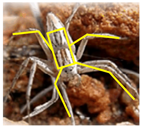 Actuators 11 00344 i009