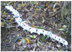 Actuators 11 00344 i012