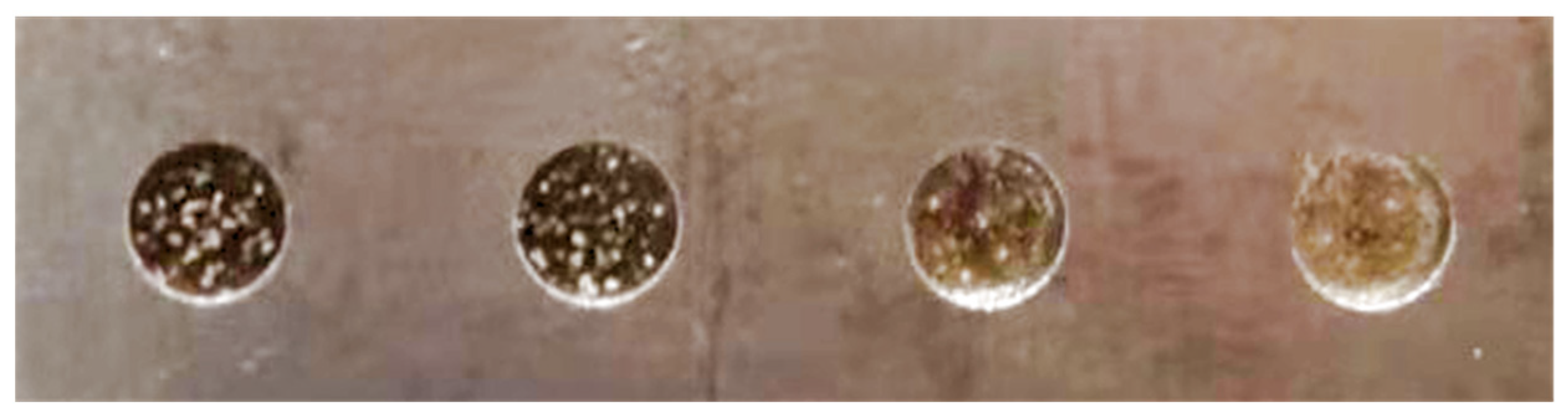 Actuators 11 00371 g015