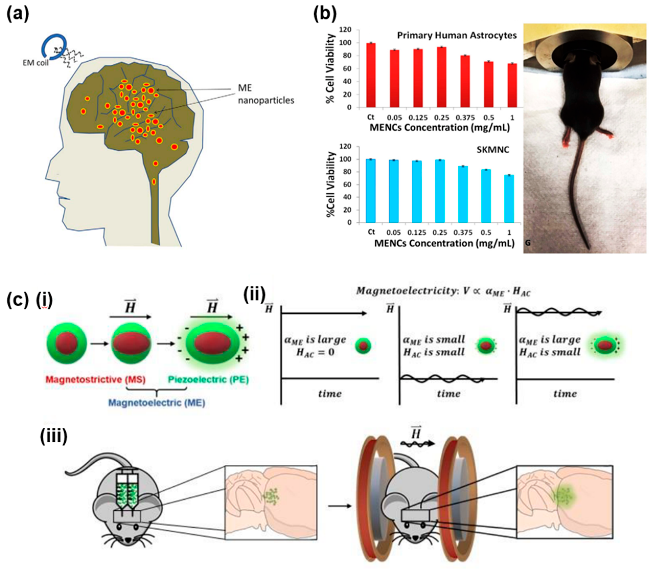 Actuators 11 00380 g007 Actuators 11 00380 g007