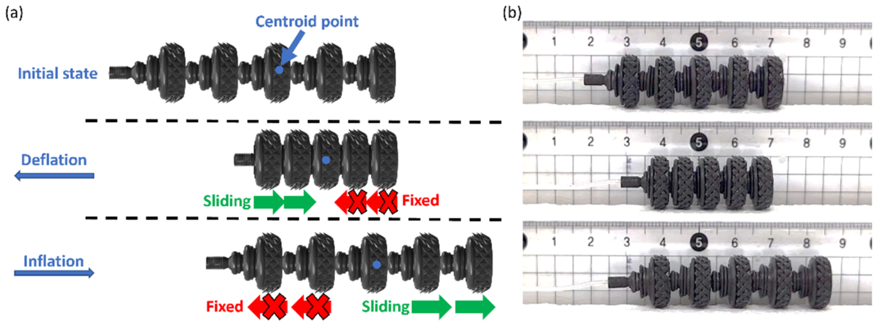 Actuators 12 00062 g003