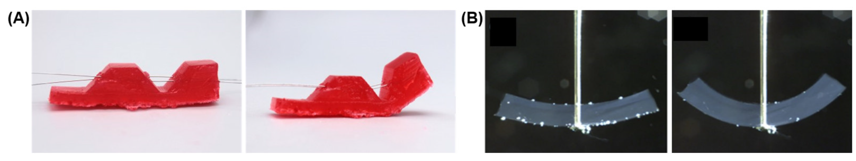 Actuators 12 00063 g002