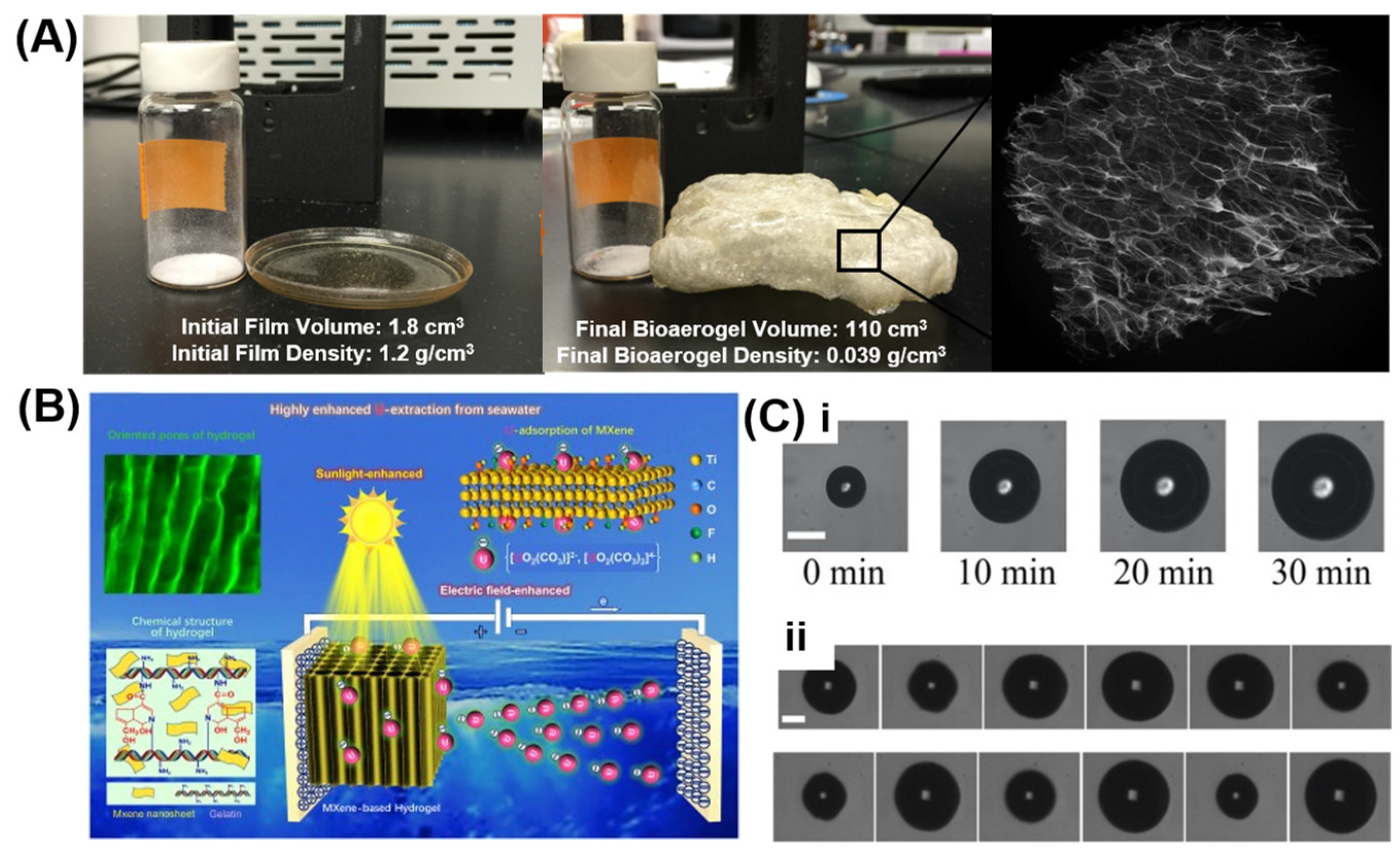 Actuators 12 00063 g007