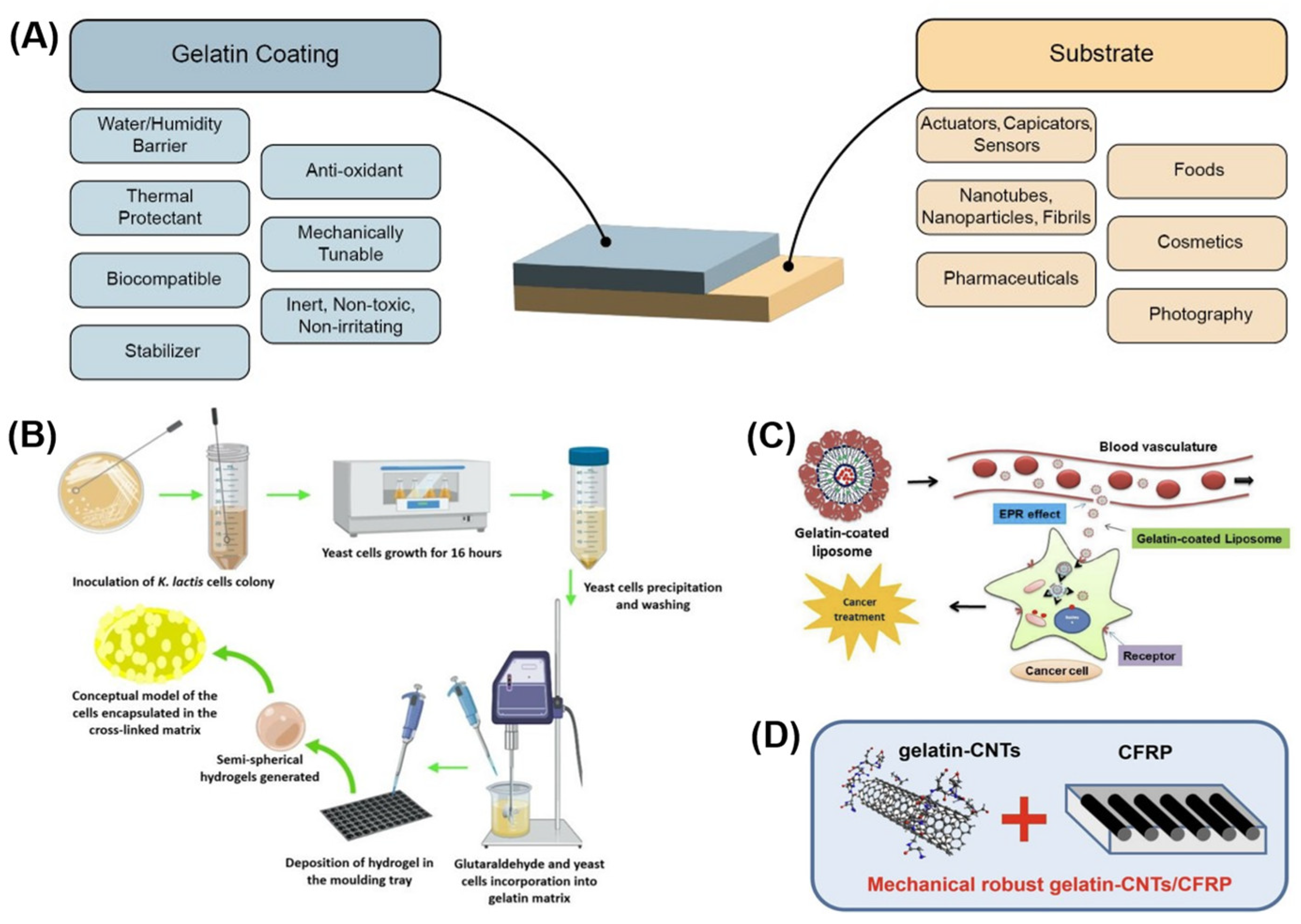 Actuators 12 00063 g008