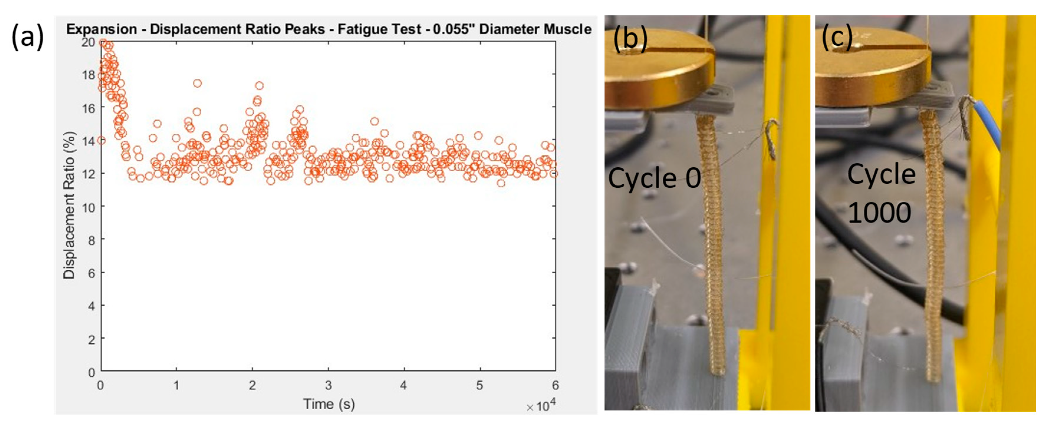 Actuators 12 00189 g005