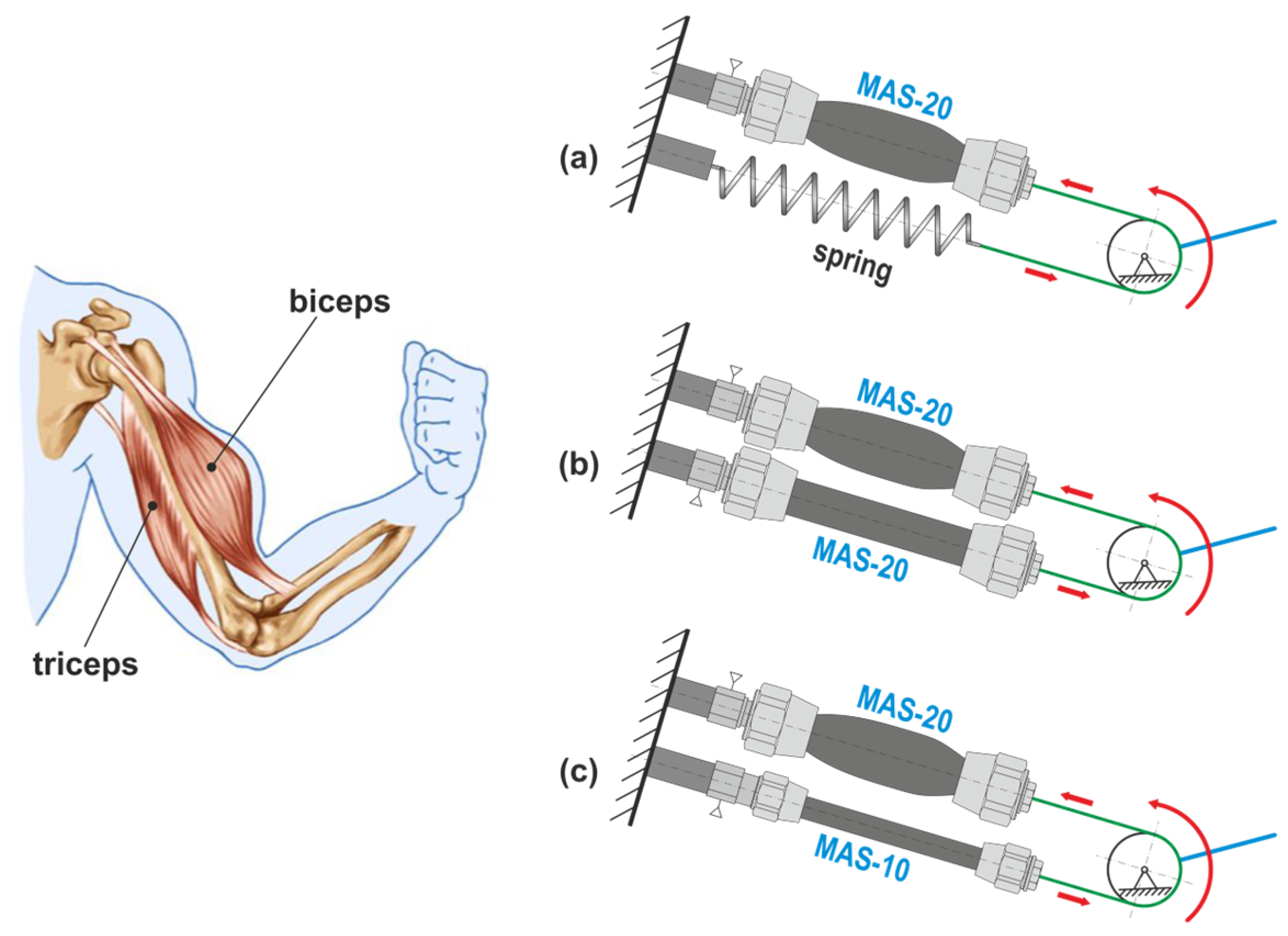 Actuators 12 00204 g001 550