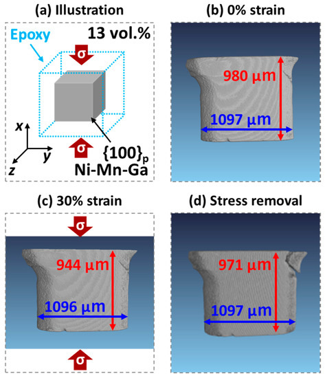 Investigations of the Crystallographic Orientation on the
