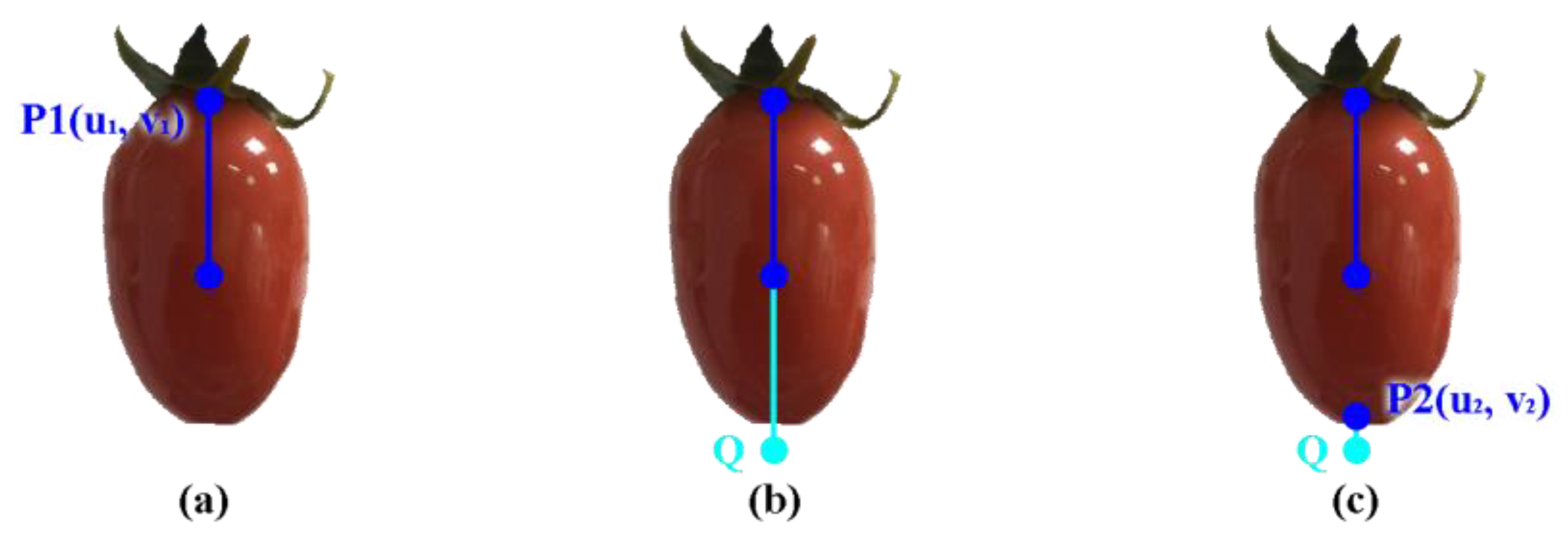 Actuators 12 00253 g004