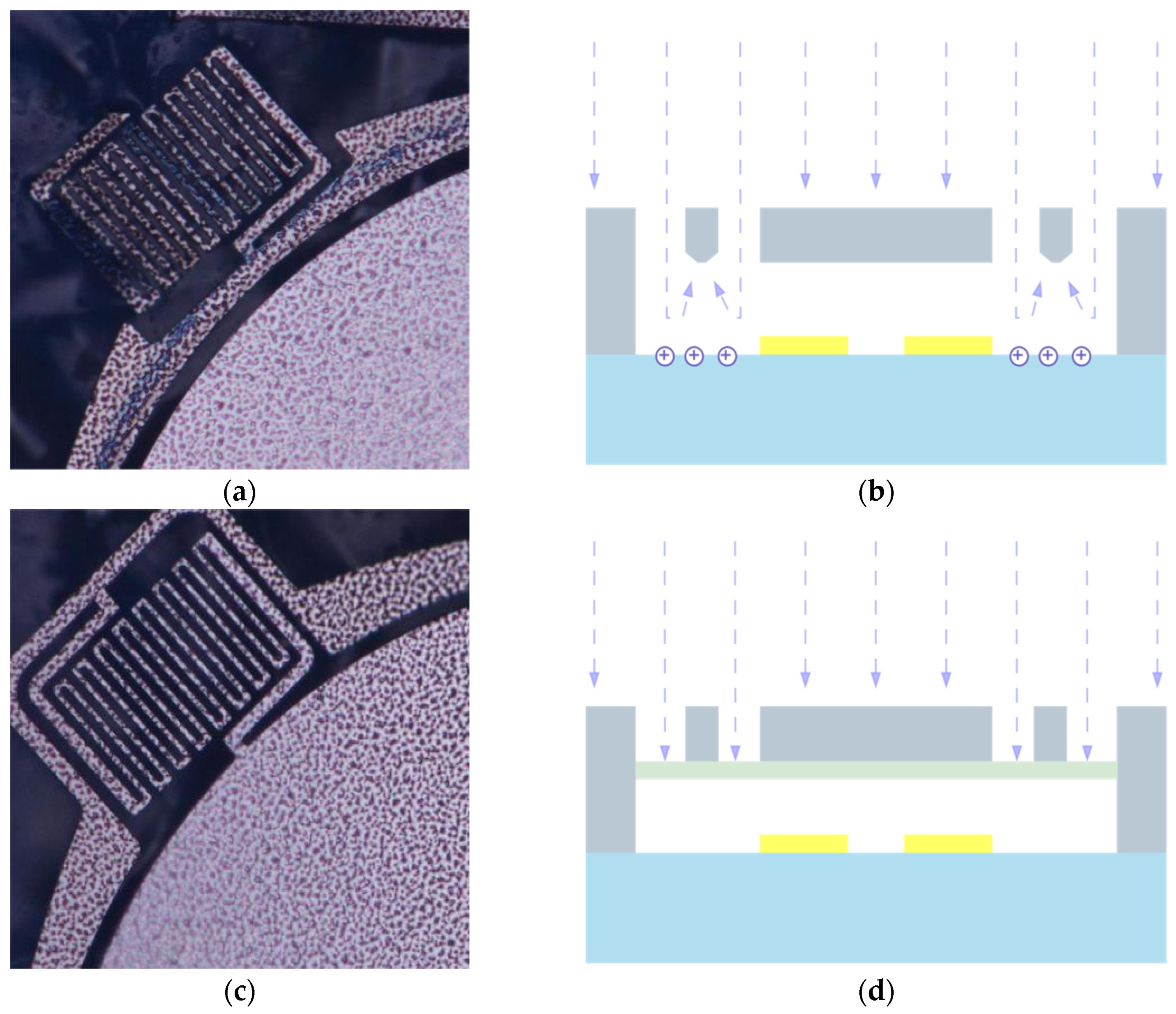 Actuators 12 00337 g009
