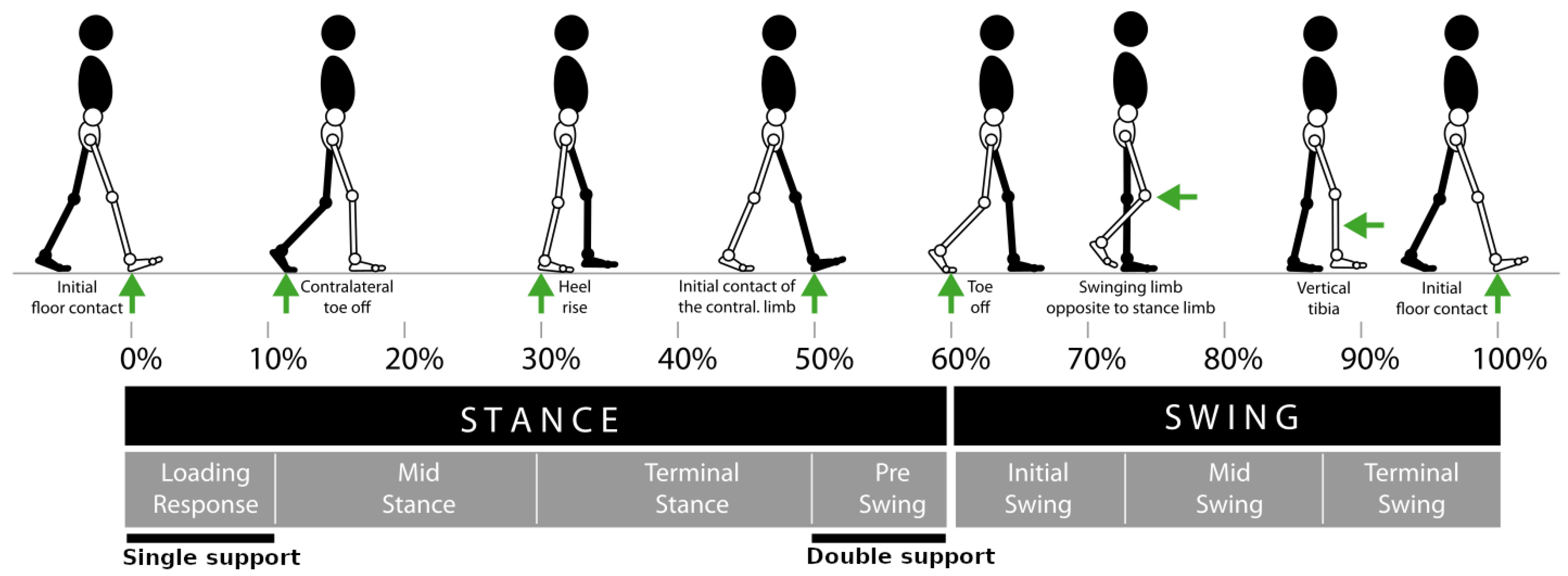 Actuators 12 00406 g003