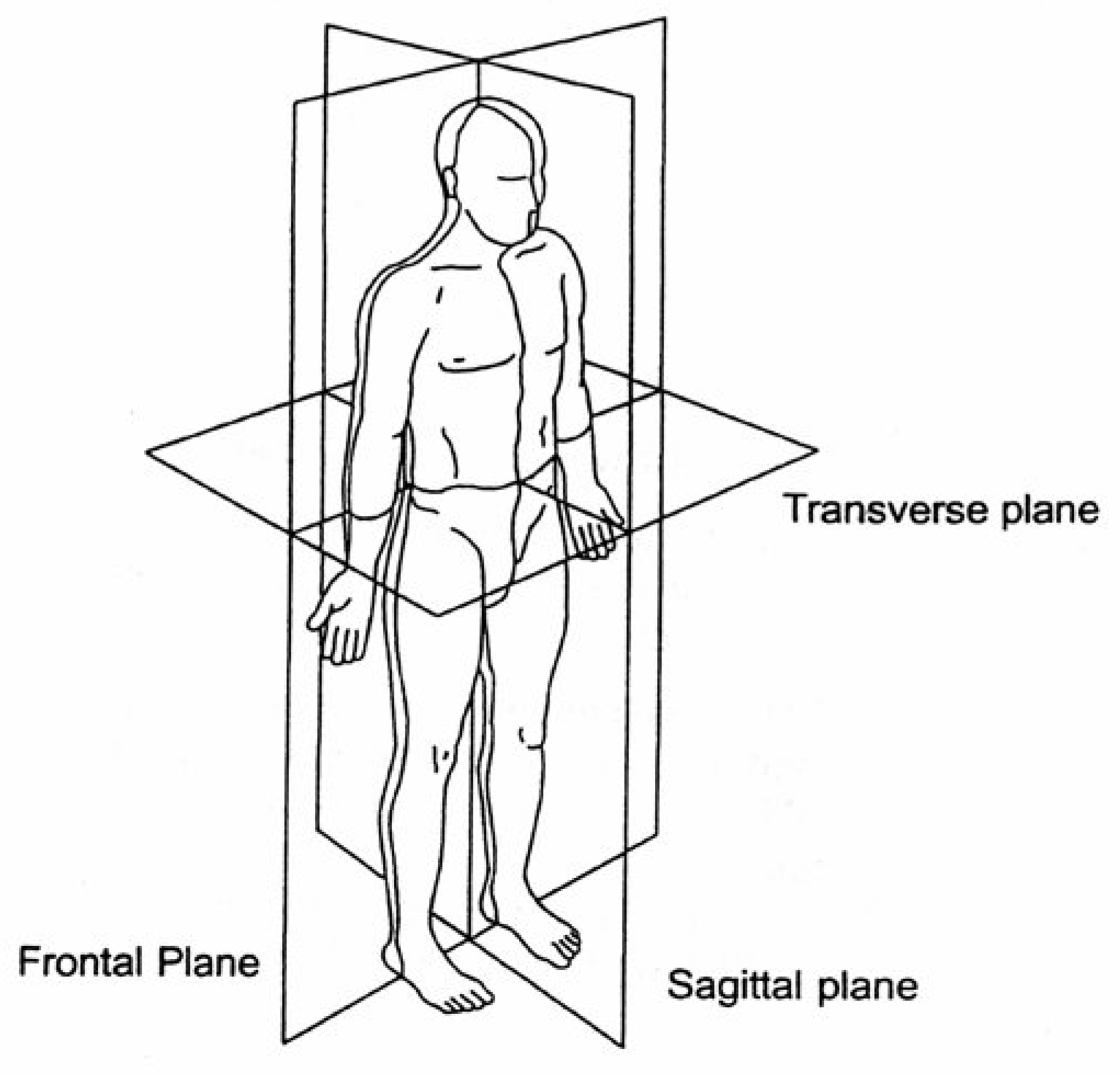 Actuators 12 00406 g005