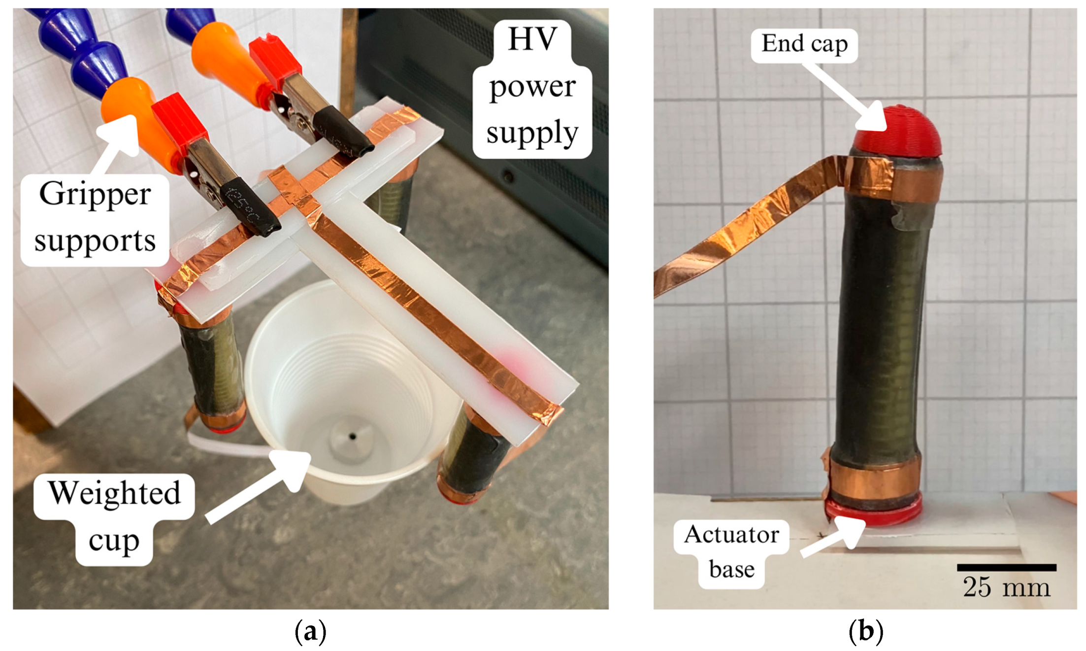 Actuators 12 00412 g008