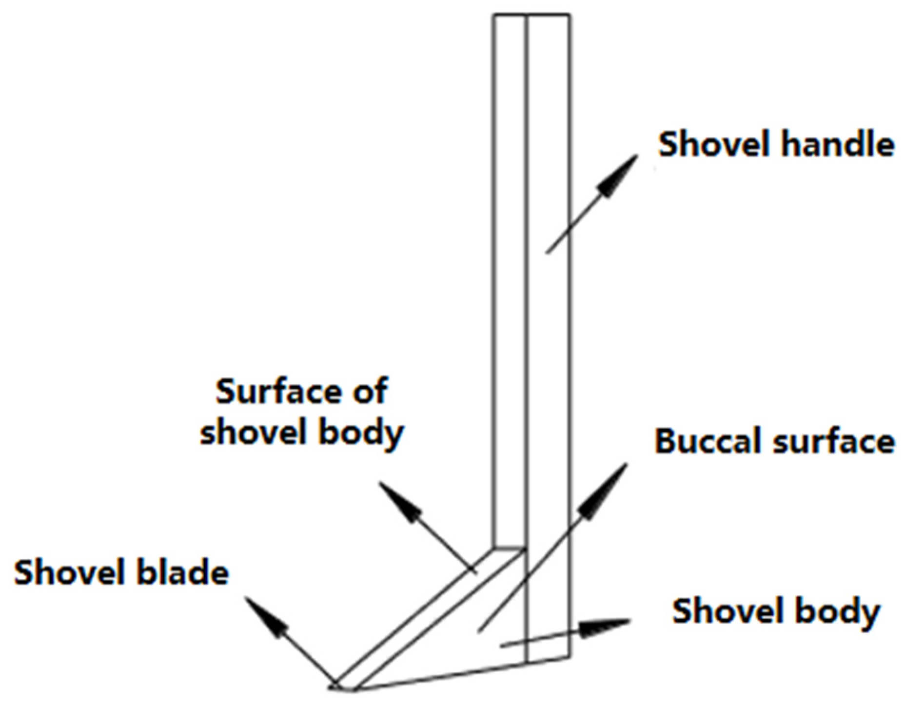 Actuators 13 00016 g001