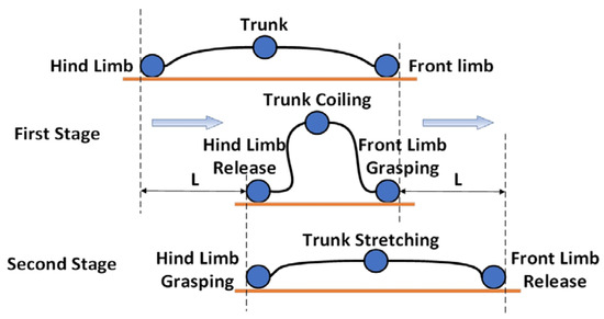 A Structural Design and Motion Characteristics Analysis of an Inchworm ...
