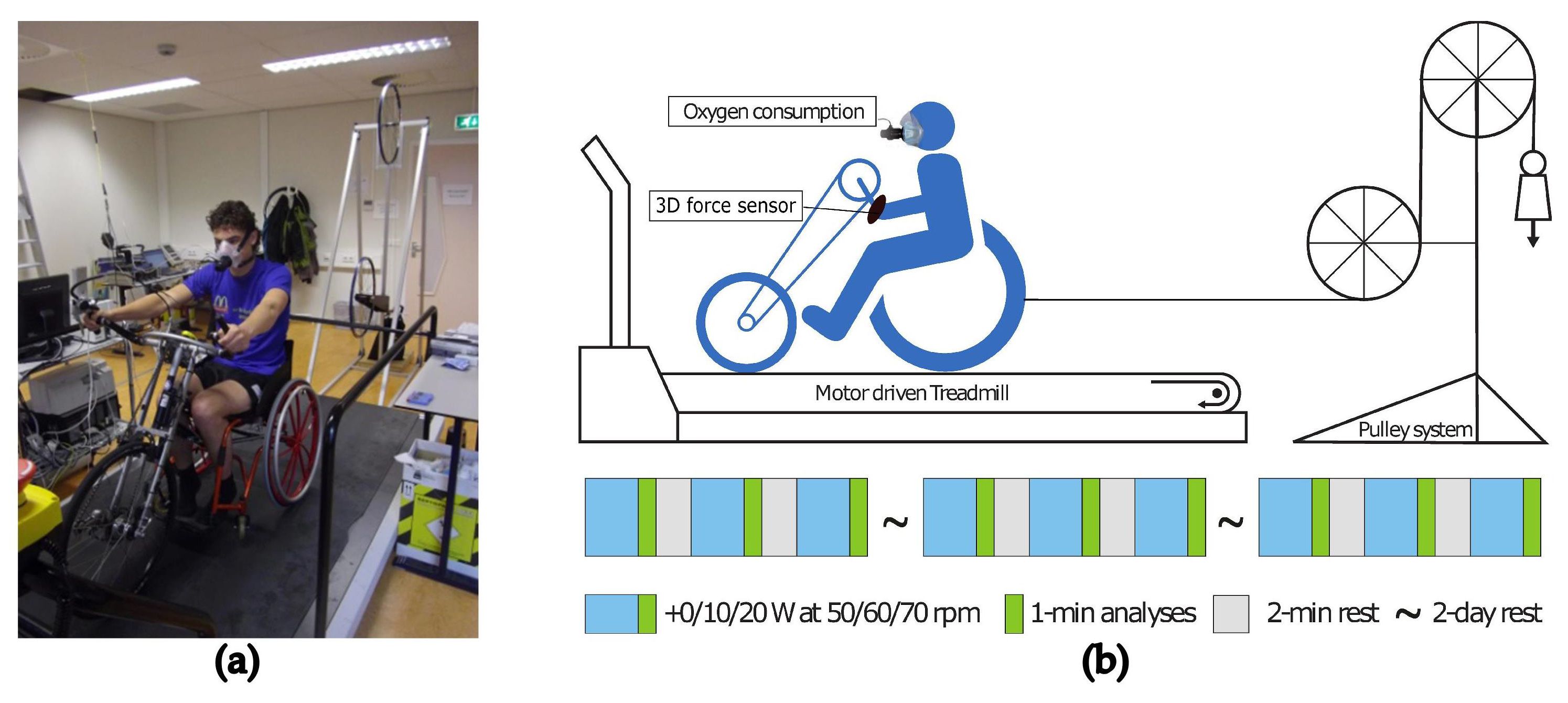 Actuators 13 00050 g008 Actuators 13 00050 g008