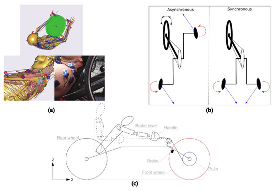 Handbike for Daily Use, Sport, and Rehabilitation Purposes: A 