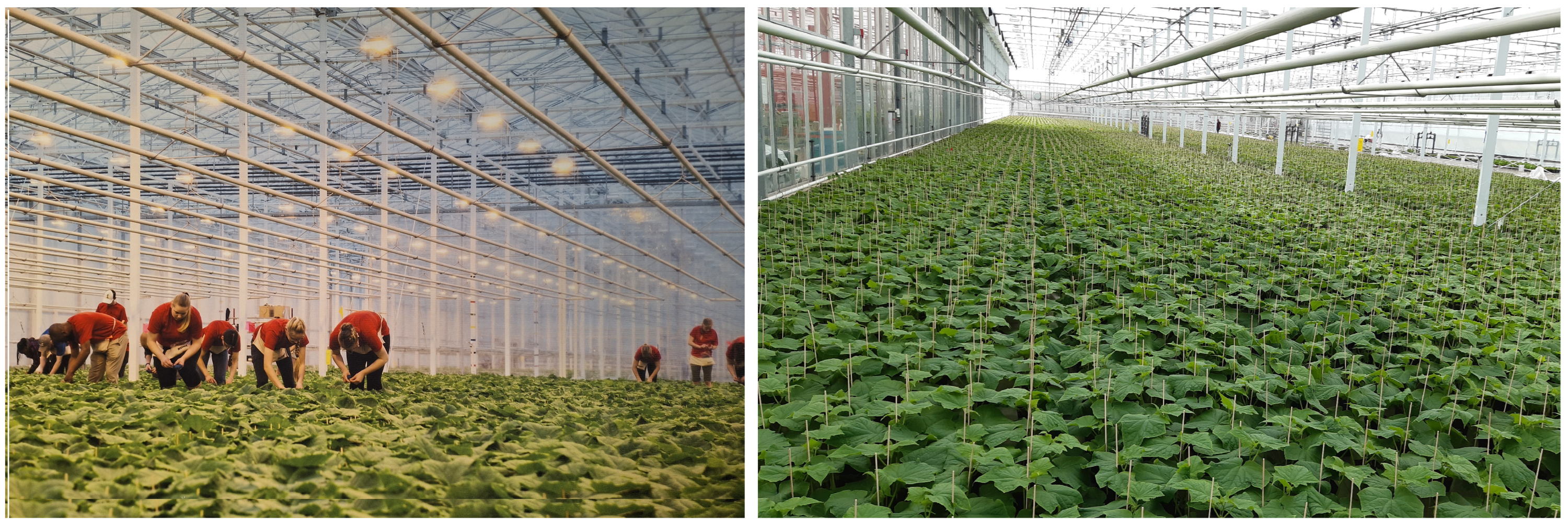 Actuators 13 00081 g001