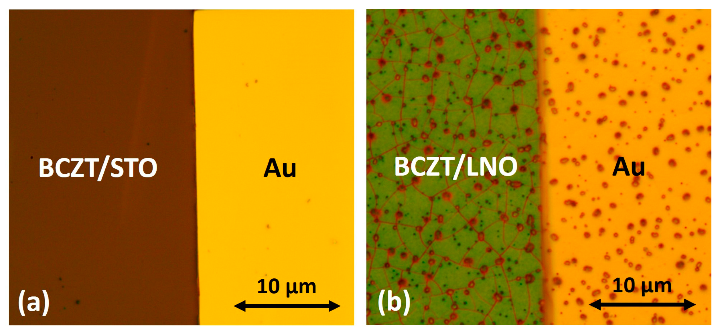 Actuators 13 00115 g006
