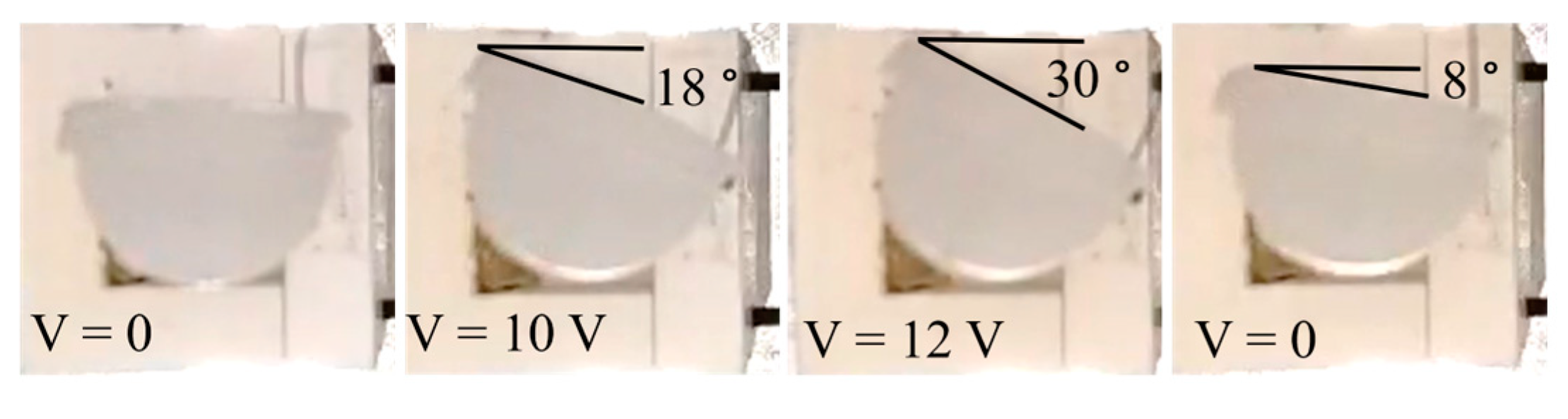 Actuators 13 00125 g005