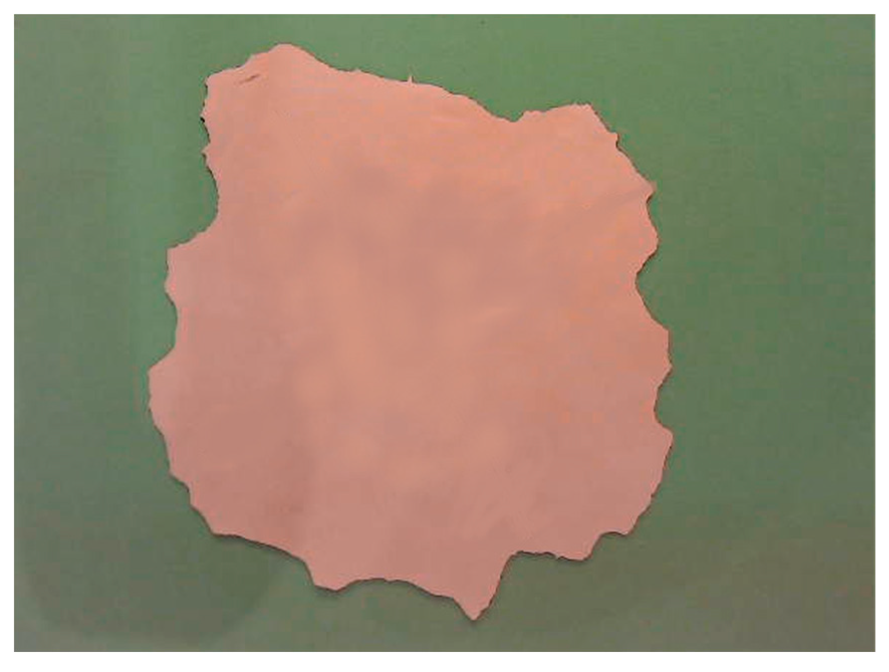 Actuators 13 00149 g004 Actuators 13 00149 g004