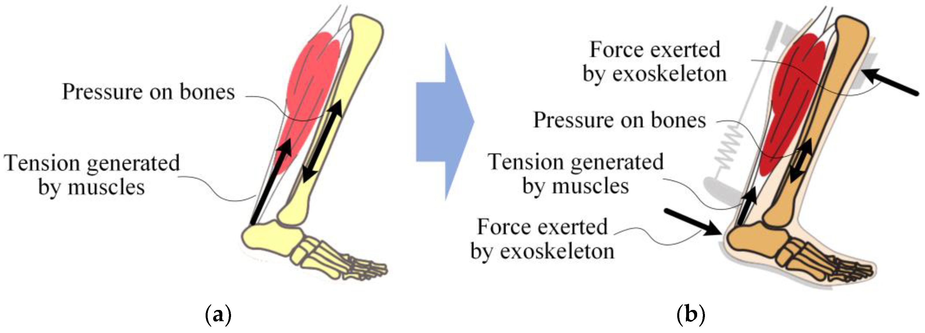 Actuators 13 00212 g005