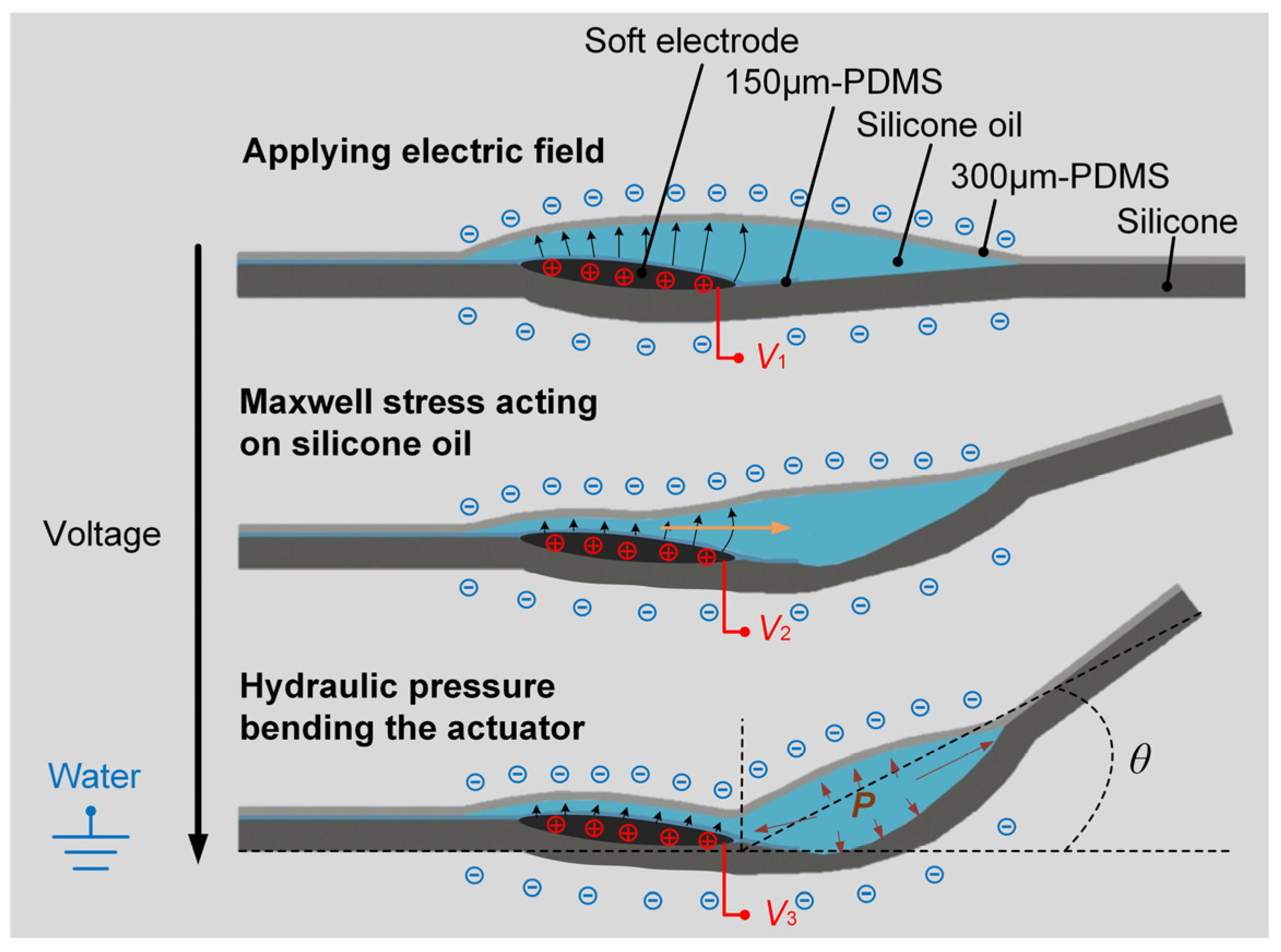 Actuators 13 00214 g002