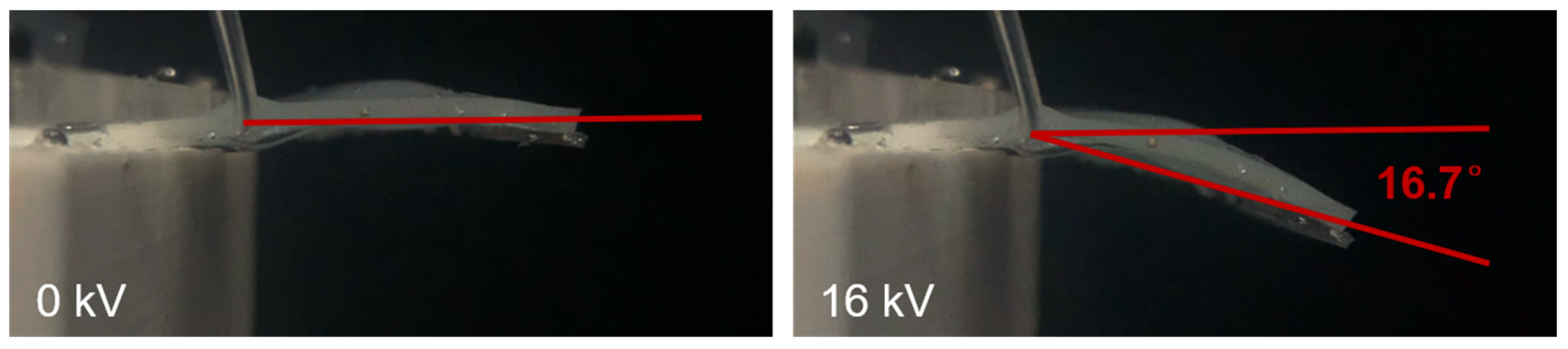 Actuators 13 00214 g006