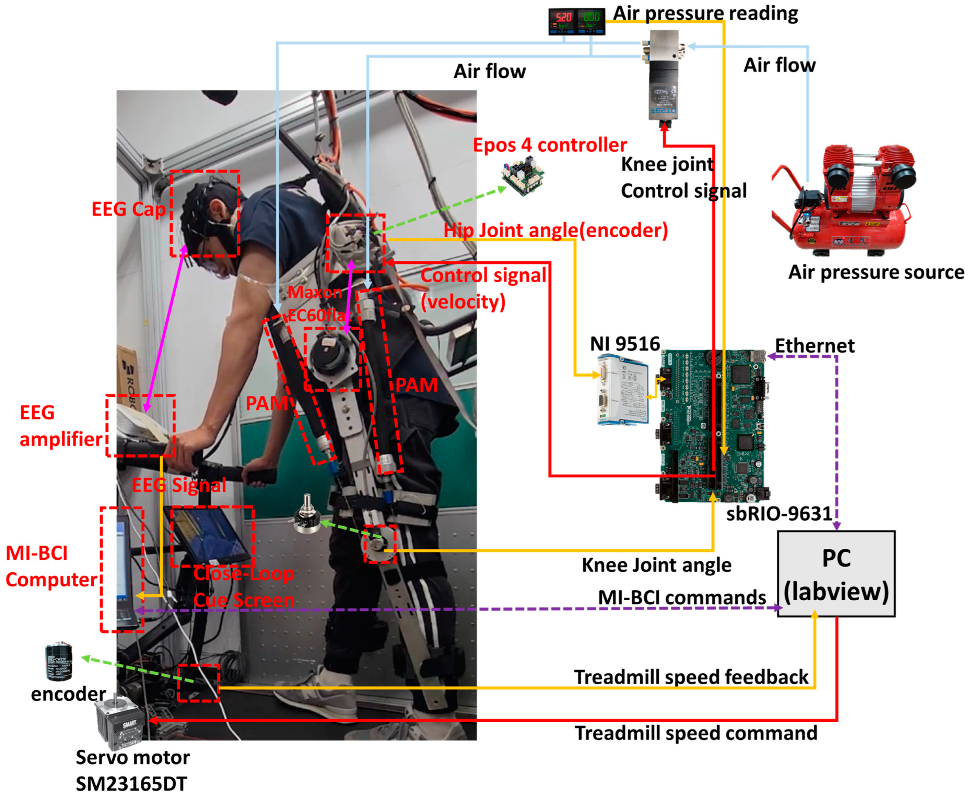 Actuators 13 00244 g002