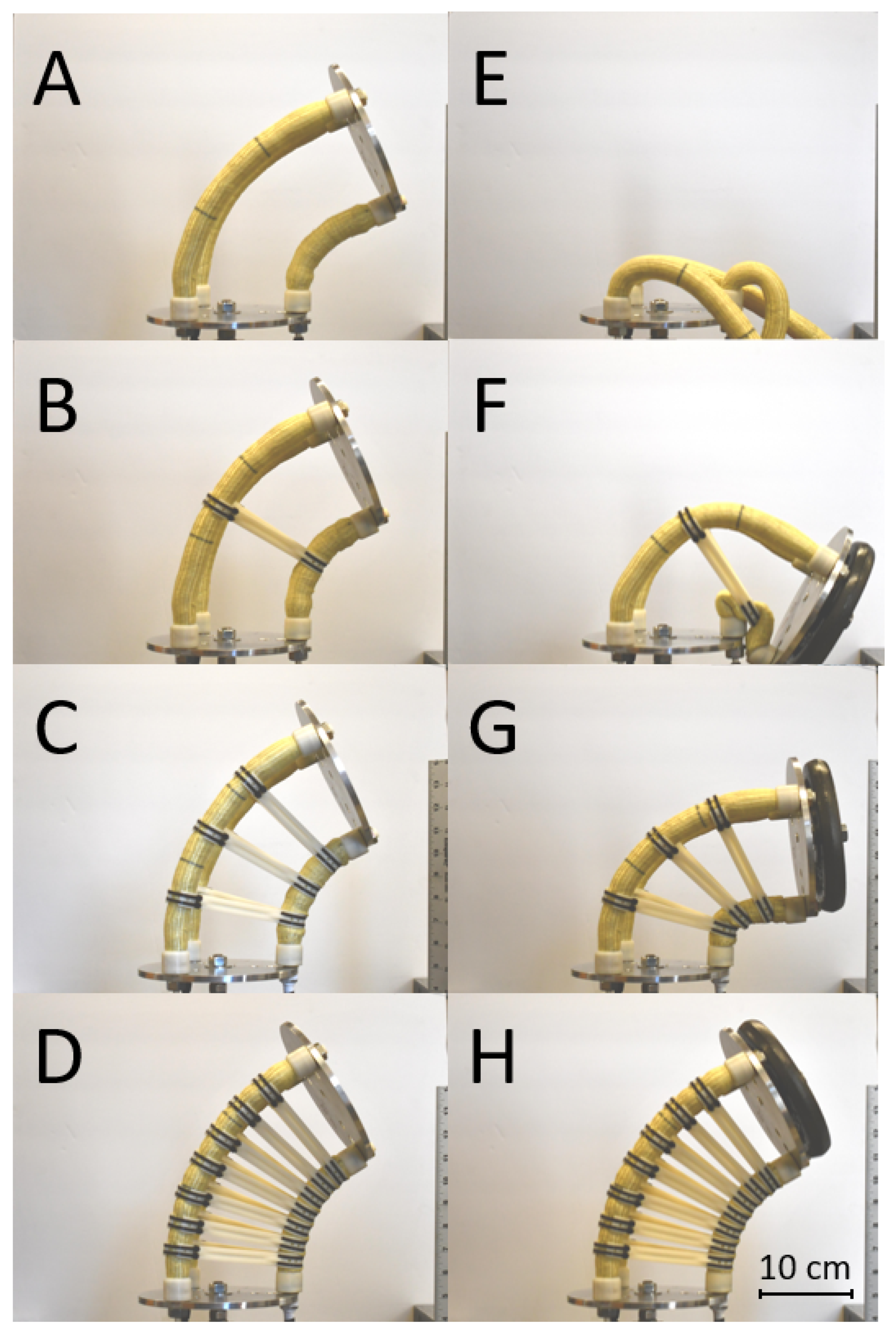 Actuators 13 00265 g002