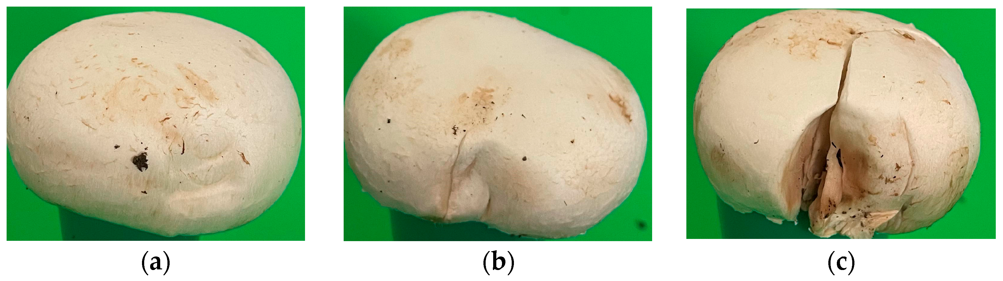Actuators 13 00287 g010