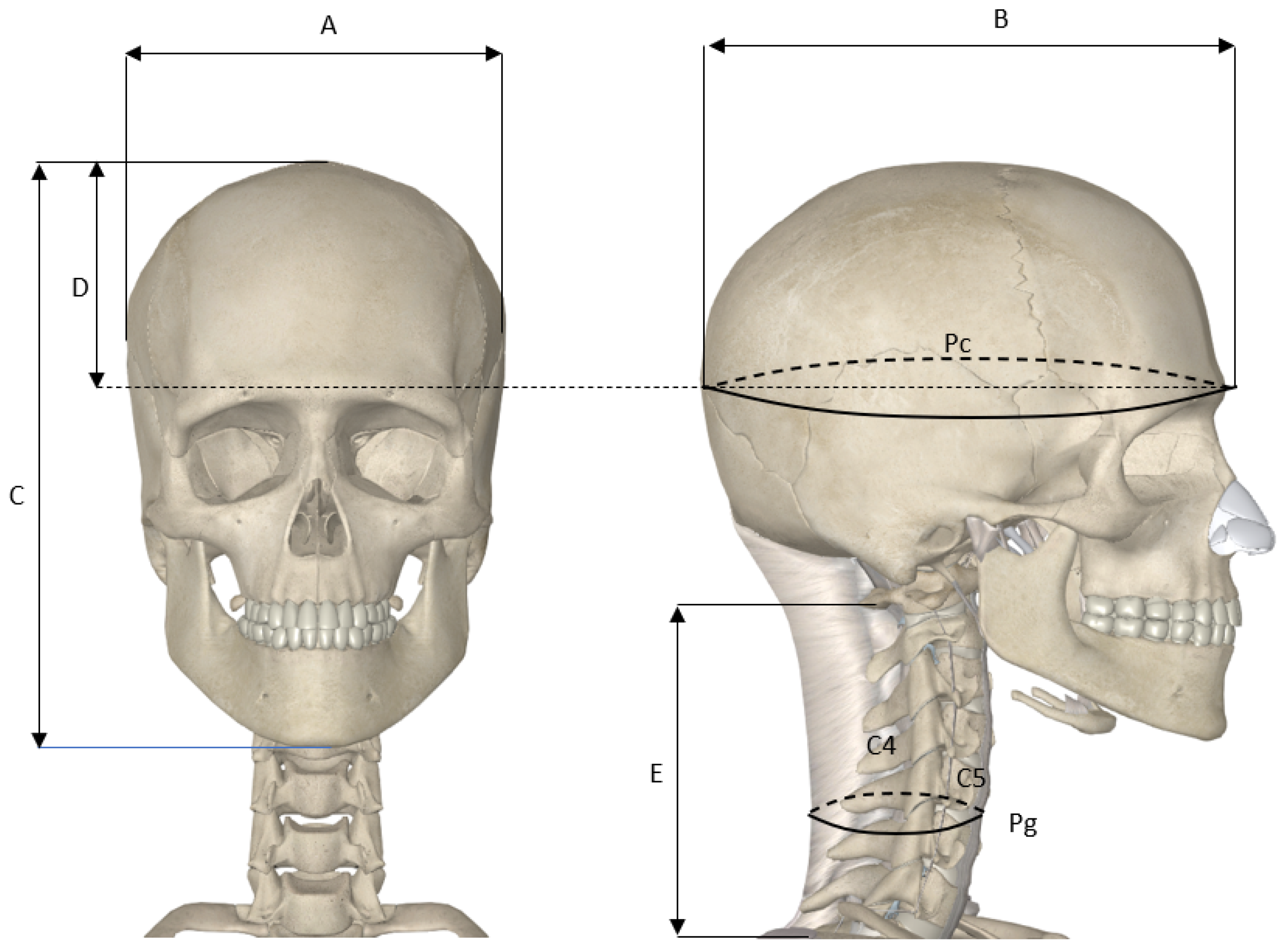 Actuators 13 00363 g003