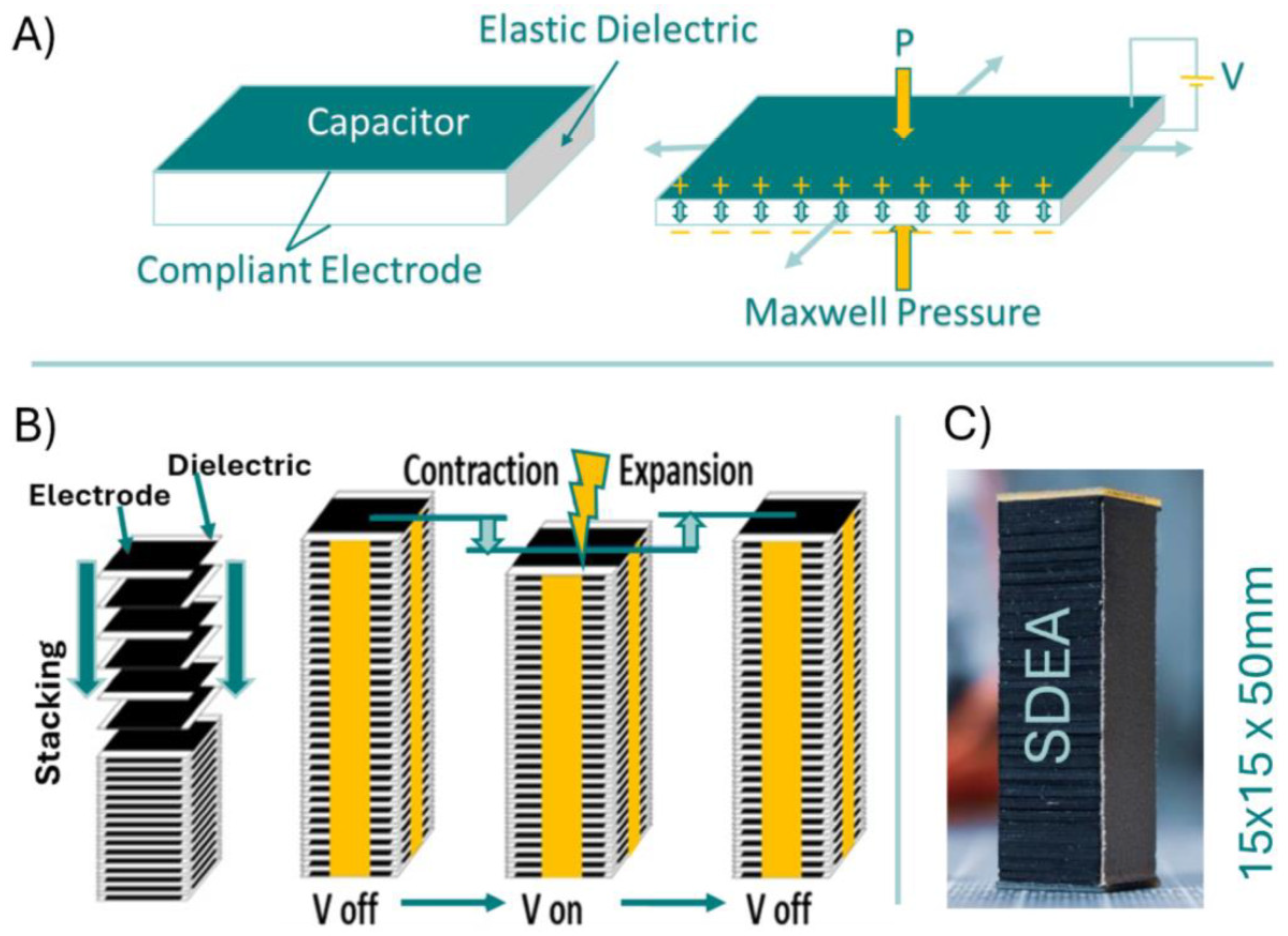 Actuators 13 00381 g001
