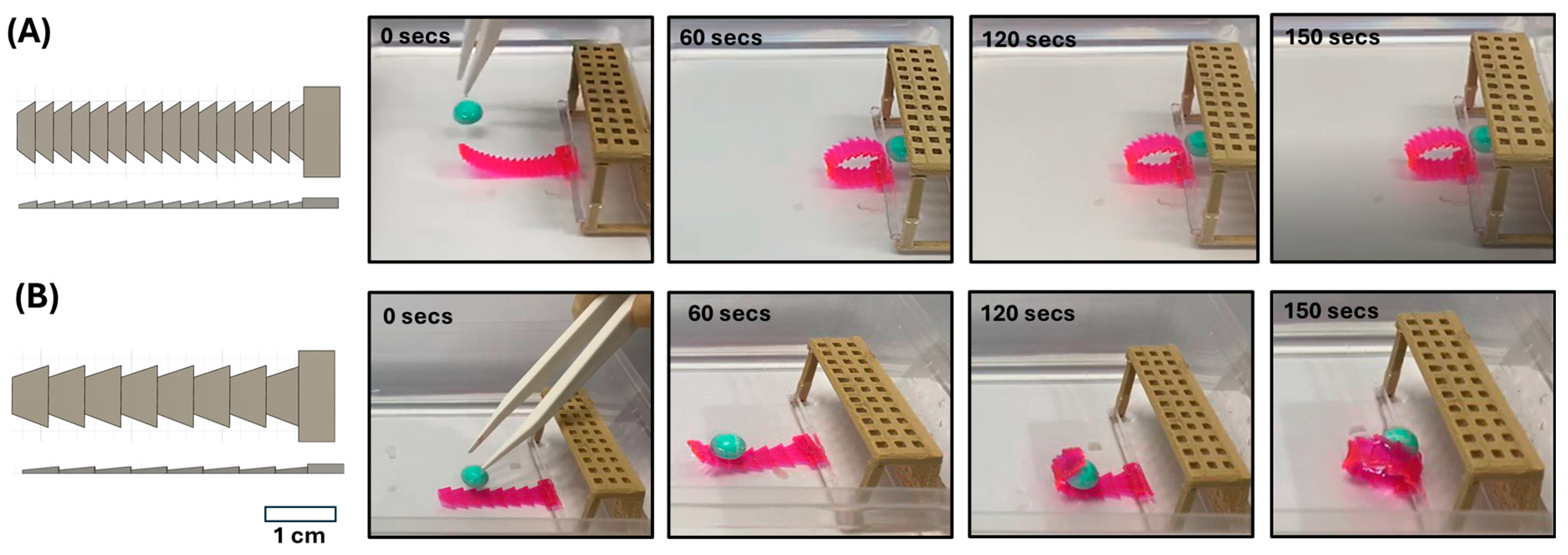 Actuators 13 00383 g008