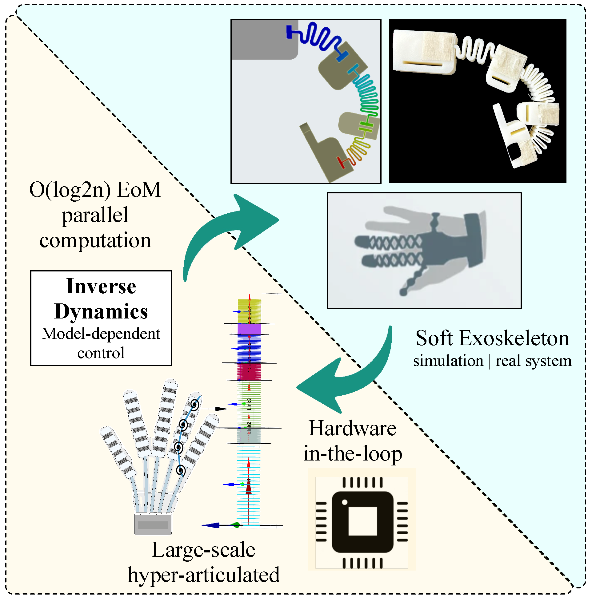 Scalable O(log2n) Dynamics Control for Soft Exoskeletons