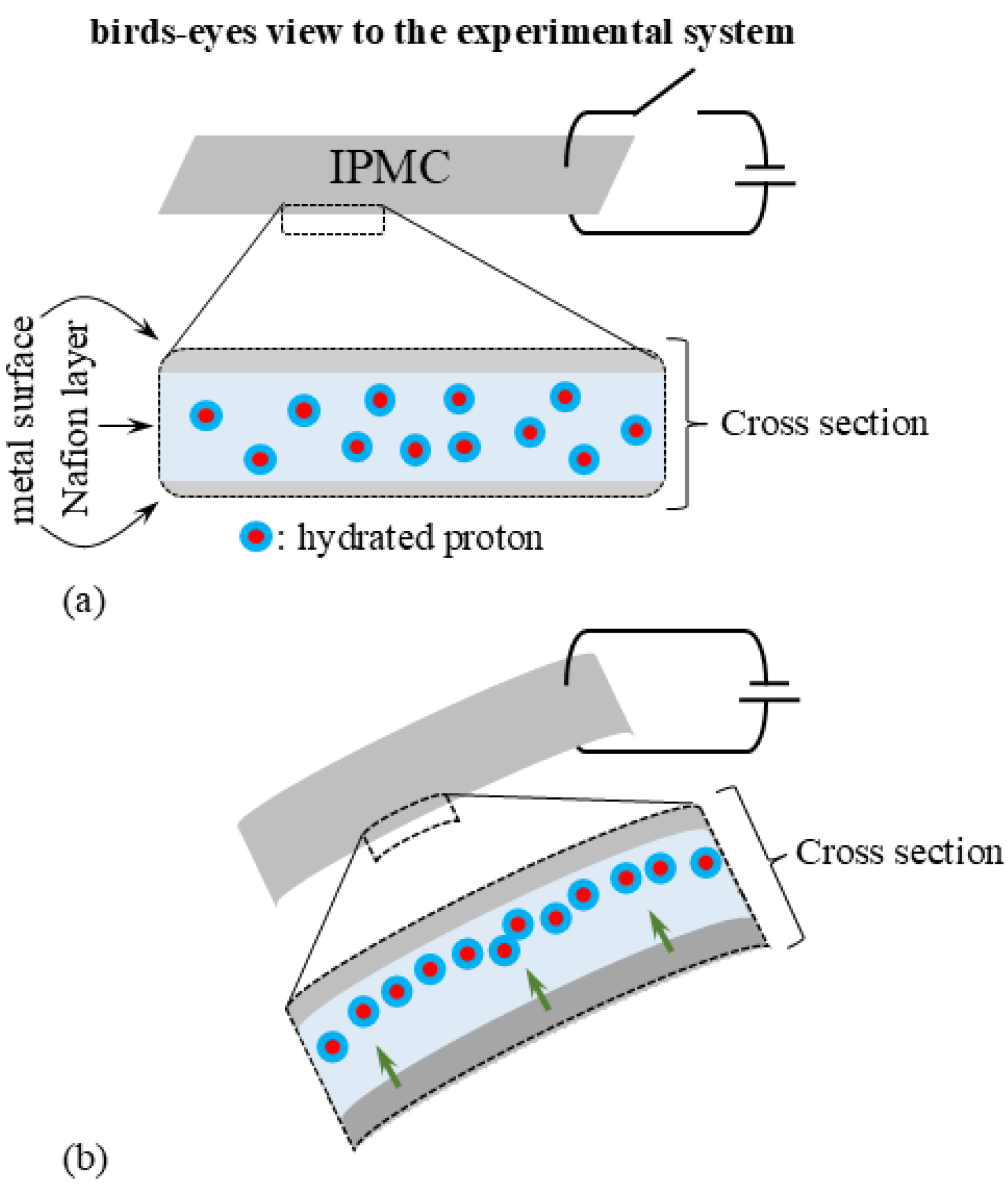 Actuators 13 00517 g001