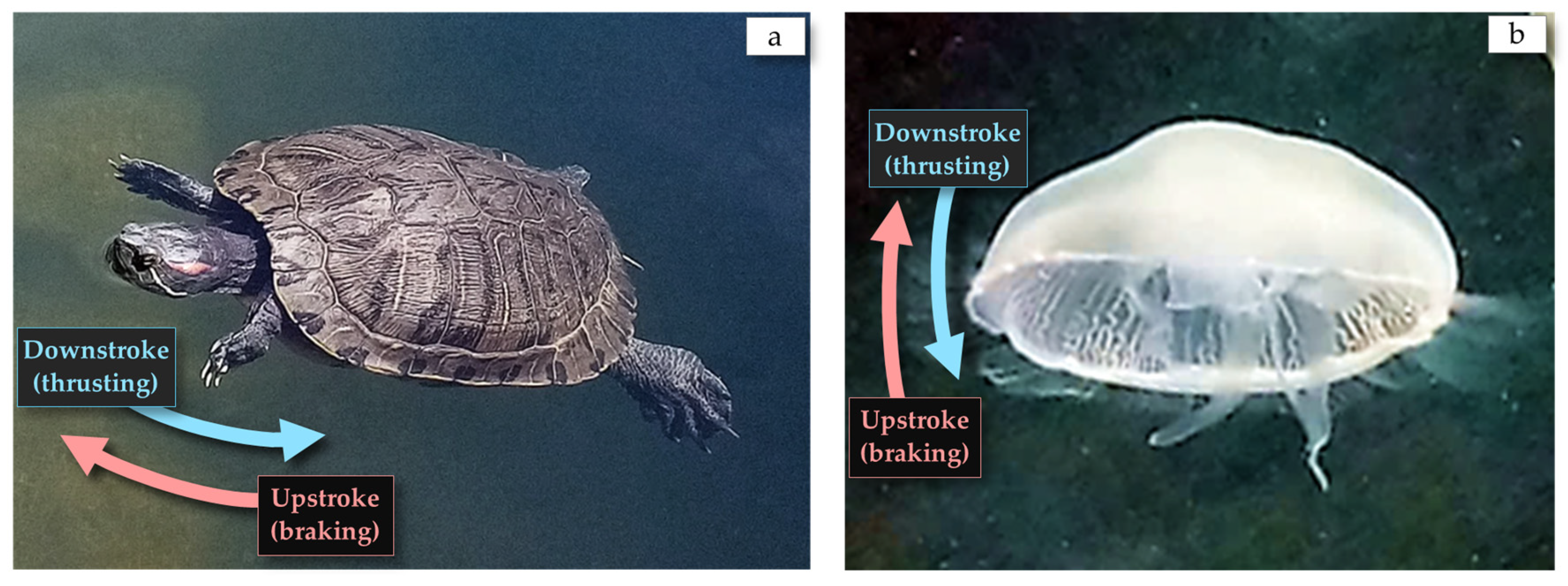 Actuators 14 00119 g001