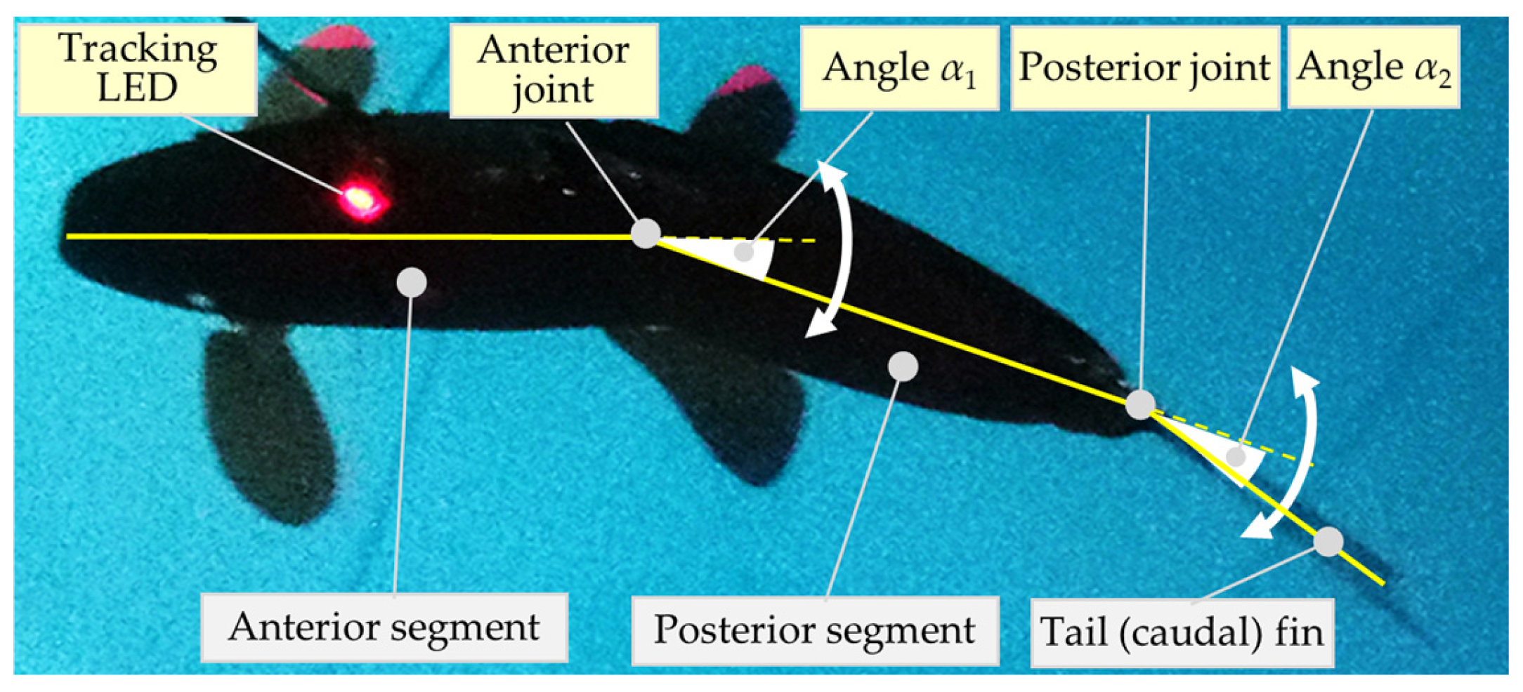 Actuators 14 00119 g003