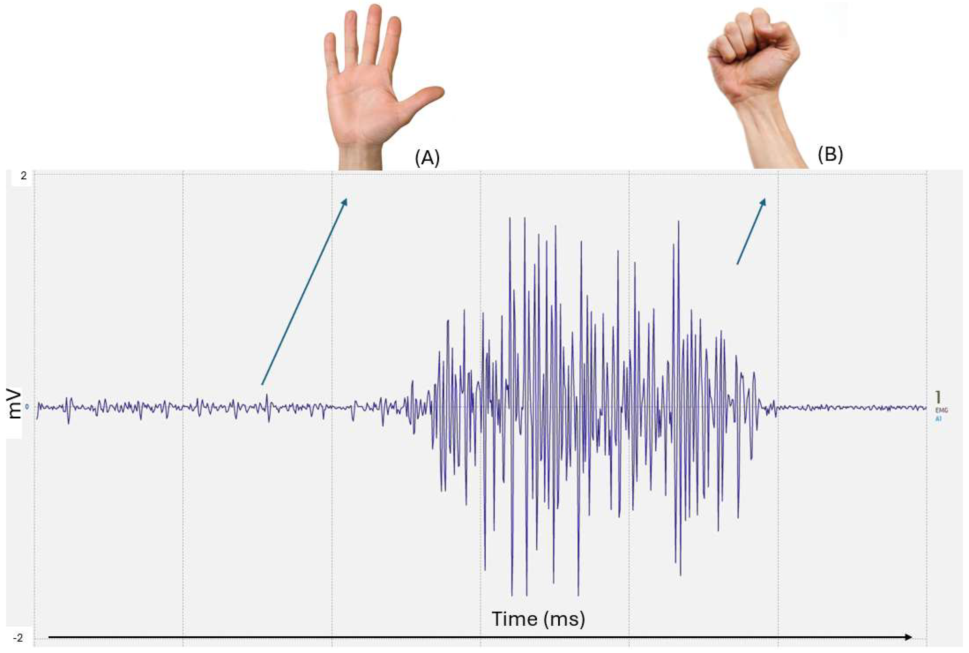 Actuators 14 00219 g014