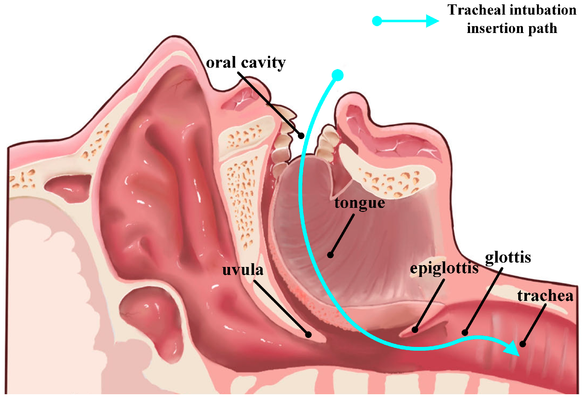 Actuators 14 00228 g001