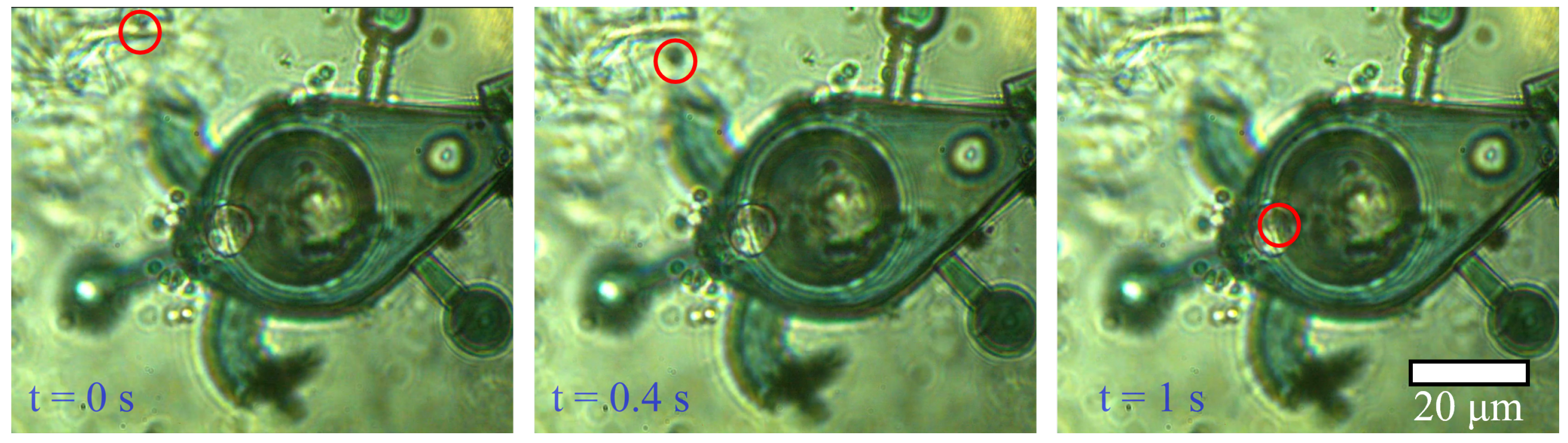 Actuators 14 00229 g012