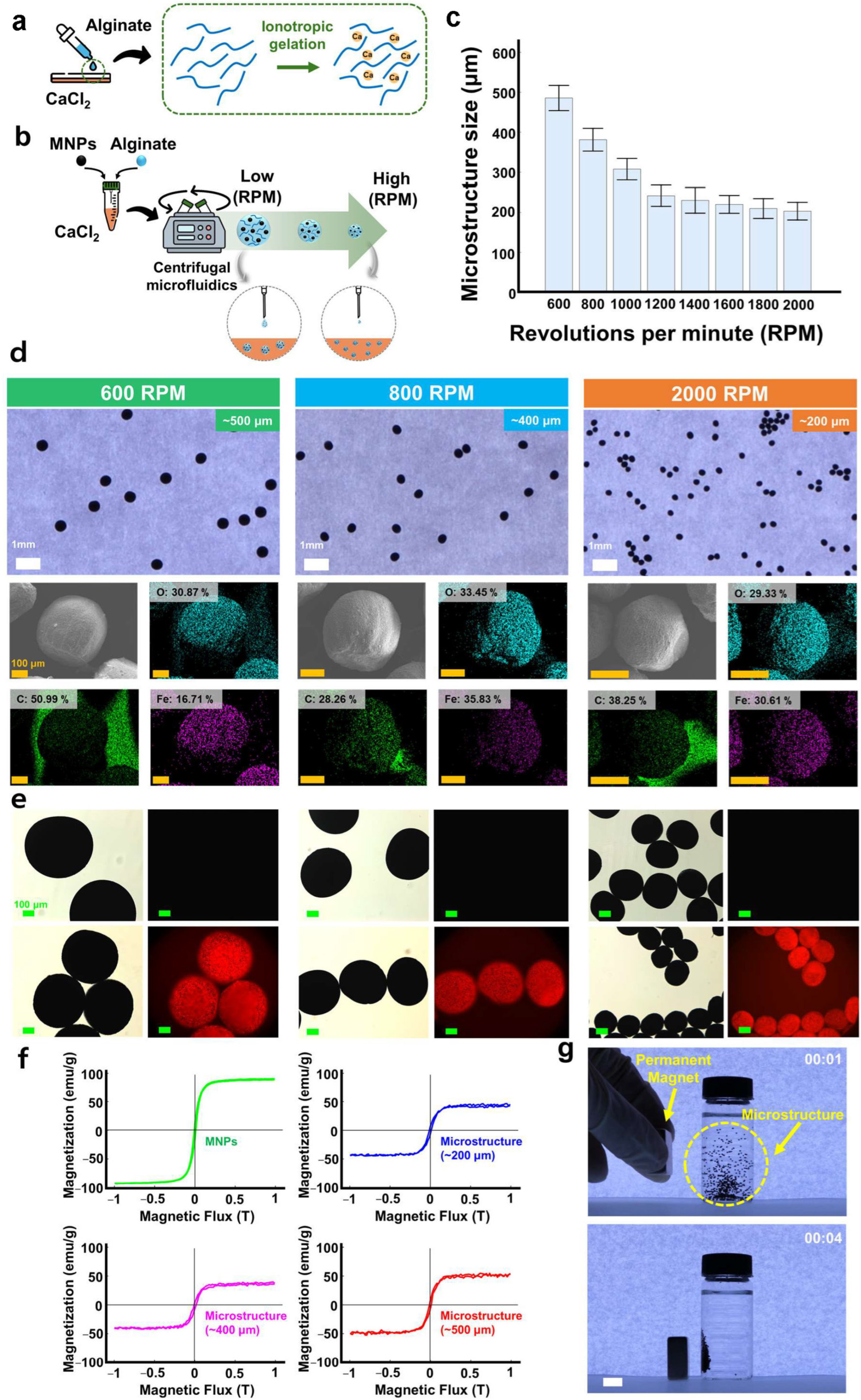 Actuators 14 00232 g002