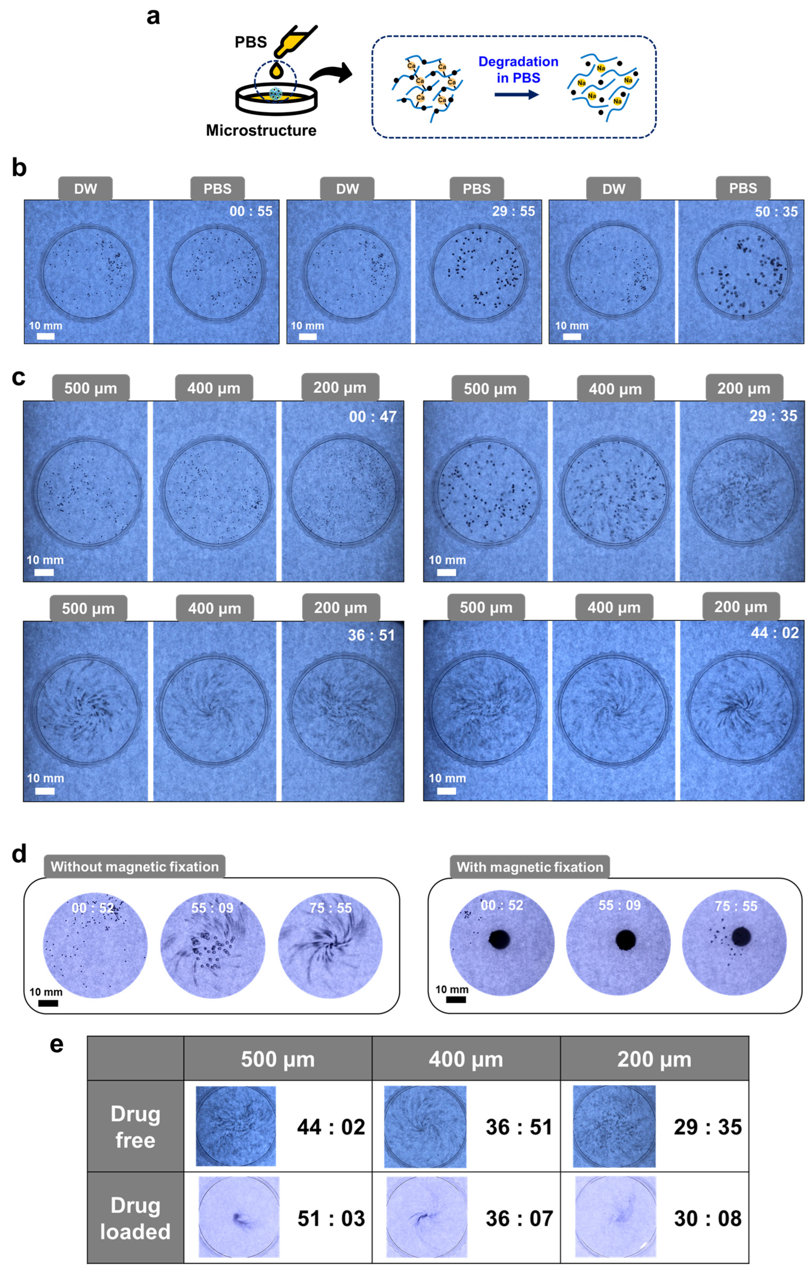 Actuators 14 00232 g003